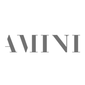 amini